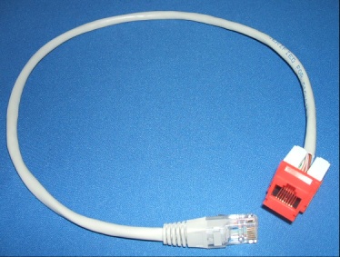 Image of RJ45 plug to chassis mounting RED socket